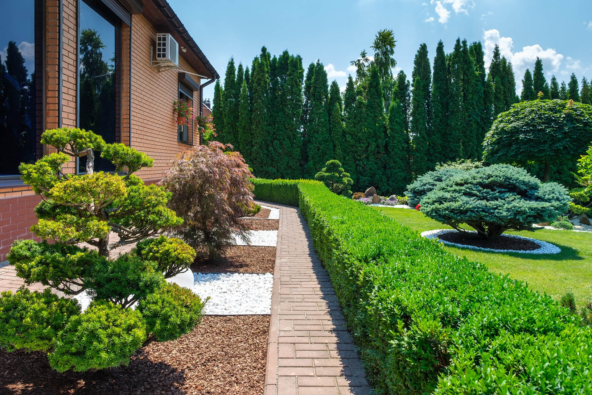 Native Plant Landscaping