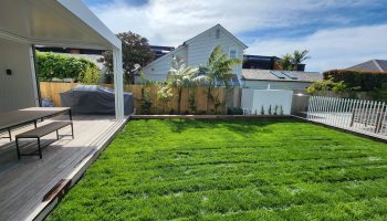 Your Garden, Our Passion – Reliable Maintenance Services in Auckland
